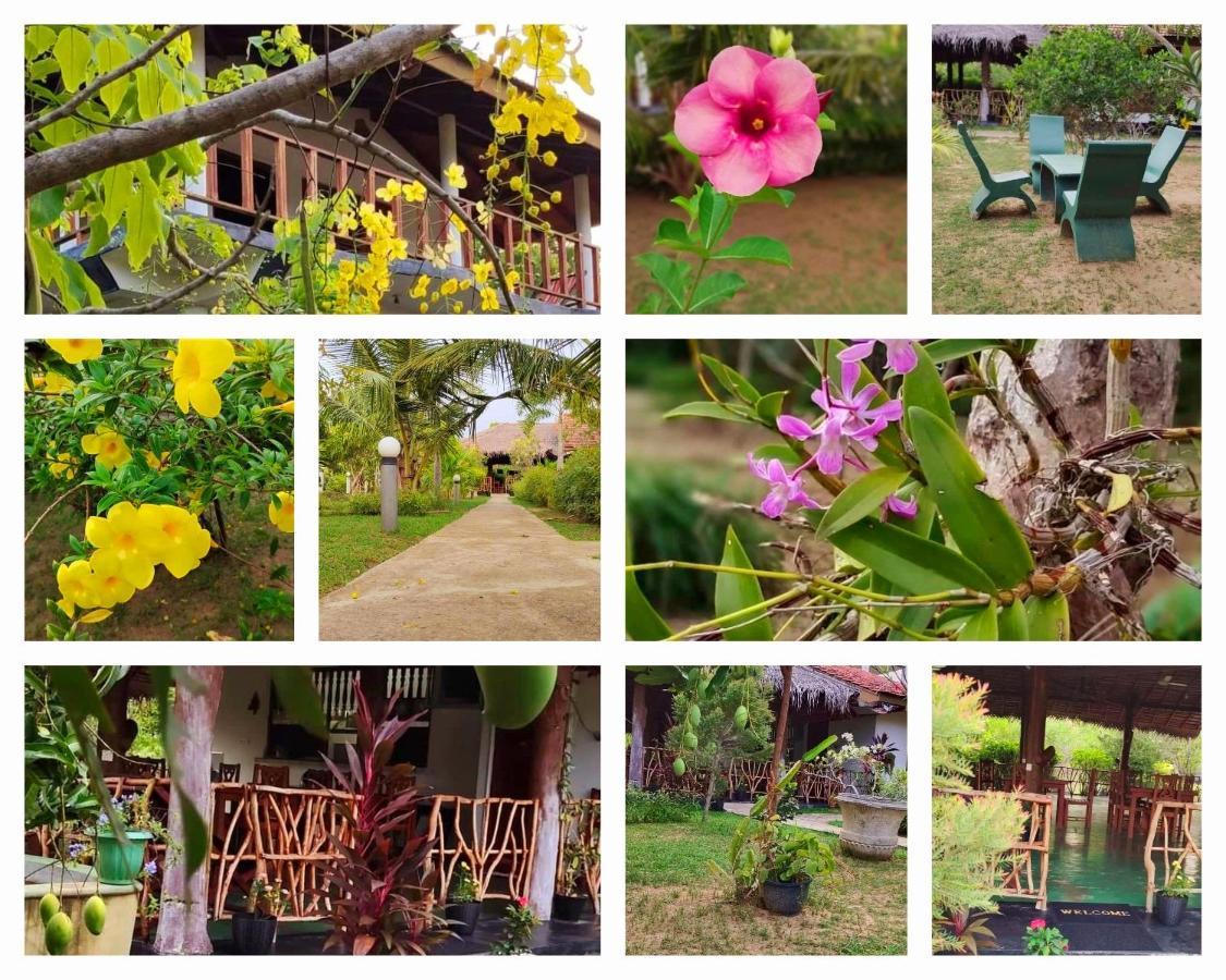 Pearl Cave Cabanas & Resturant Tangalle Extérieur photo